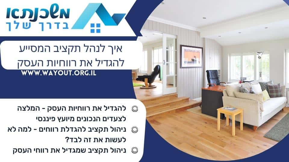 איך לנהל תקציב המסייע להגדיל את רווחיות העסק