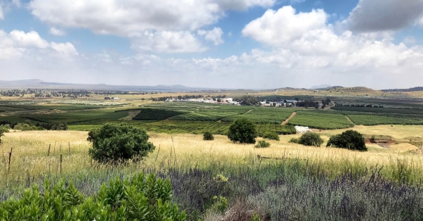 שילוב של קצב חיים רגוע עם נגישות לכל מקום